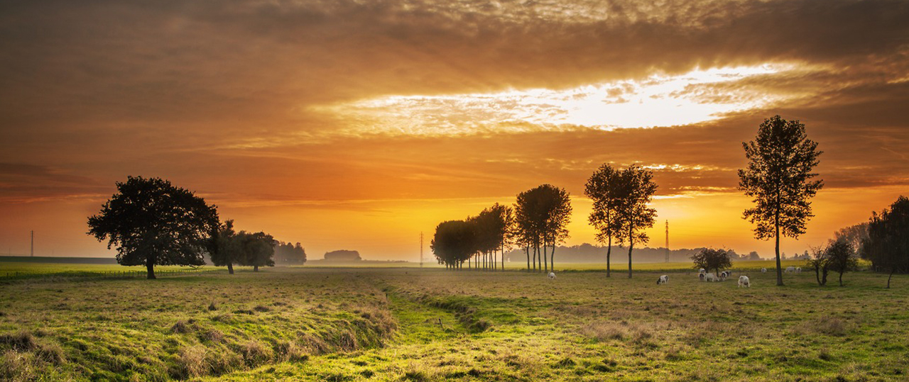 电话炸弹短信业务