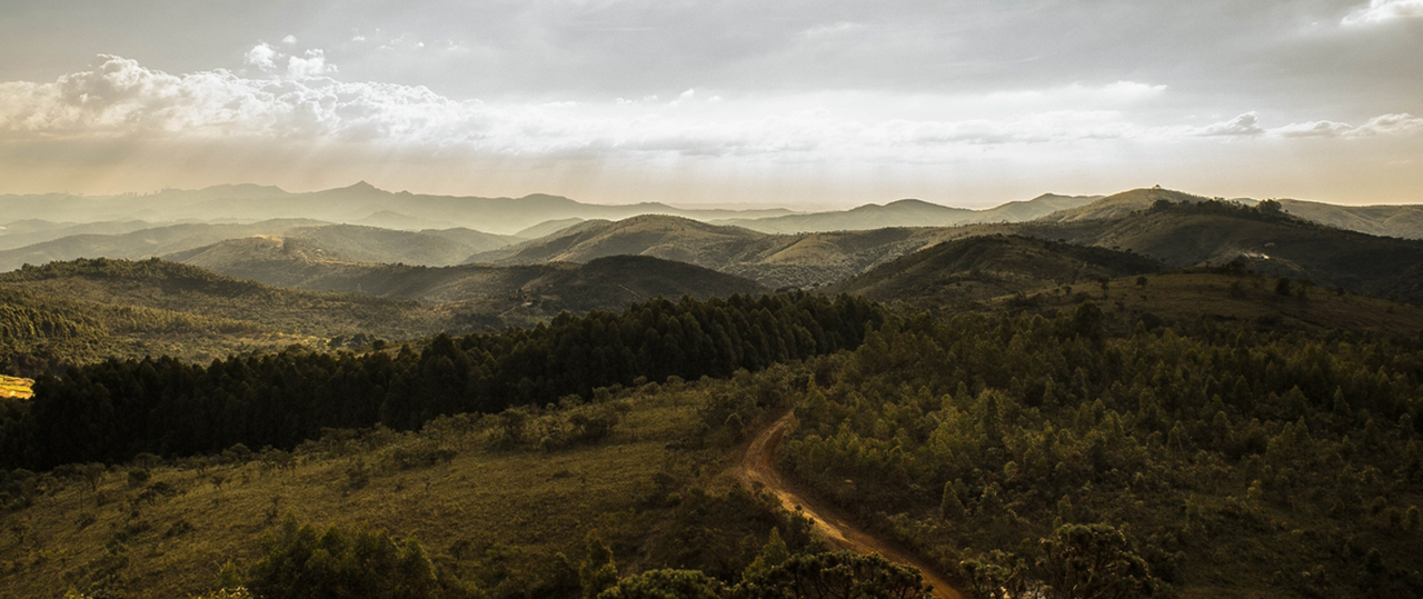 哪有正版卖的轰炸手机号在线使用