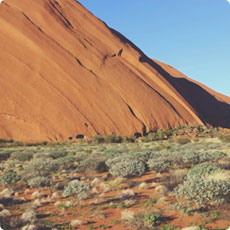 在线永久免费轰炸电话