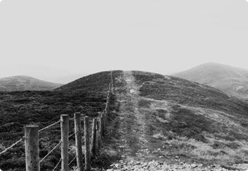 手机号炸弹防护业务