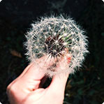 短信轰机轰炸app下载安卓手机